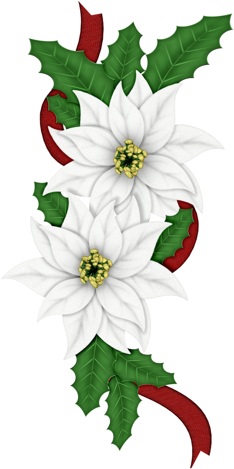 Edelweiss Png - Blue Christmas Flowers Clipart (847x1600)