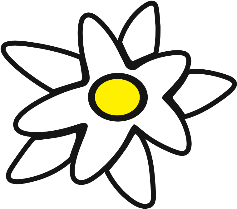 Edelweiss Png - Эдельвейс Png (900x796)