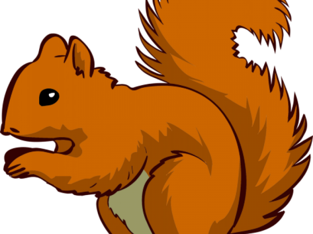 Squirrel Clipart Whimsical - Cartoon Squirrel No Background (640x480)