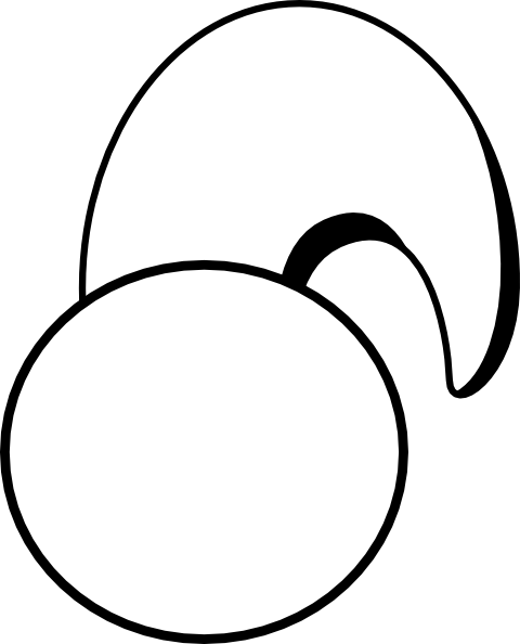 Clipart Info - Circle (480x594)