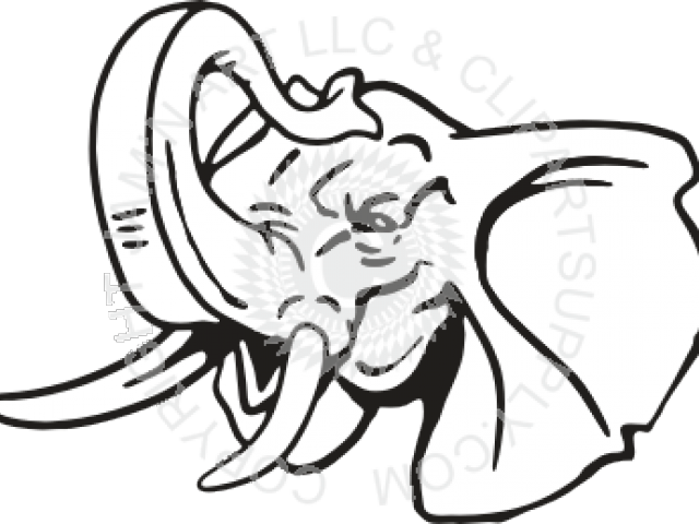 Trunk Clipart Elephant Head - Elephant Drawing With Trunk Up (640x480)