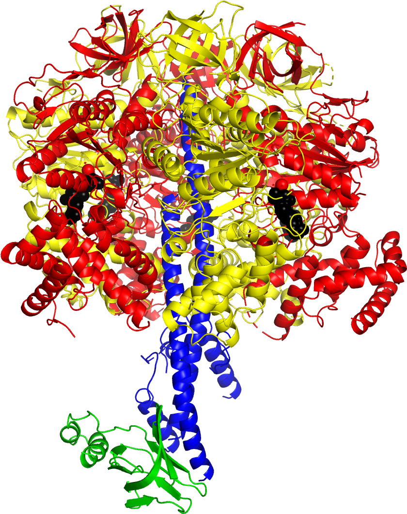 Professor John Walker And His Colleagues Have Solved - Illustration (1181x1181)