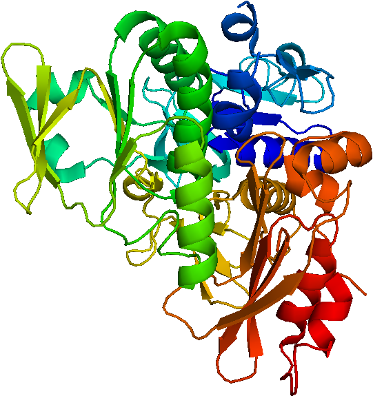 Apoptosis Inducing Factor (804x705)