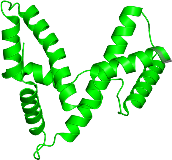 <div Class='caption-body'>1 Copy Of Cath Domain < - <div Class='caption-body'>1 Copy Of Cath Domain < (800x800)