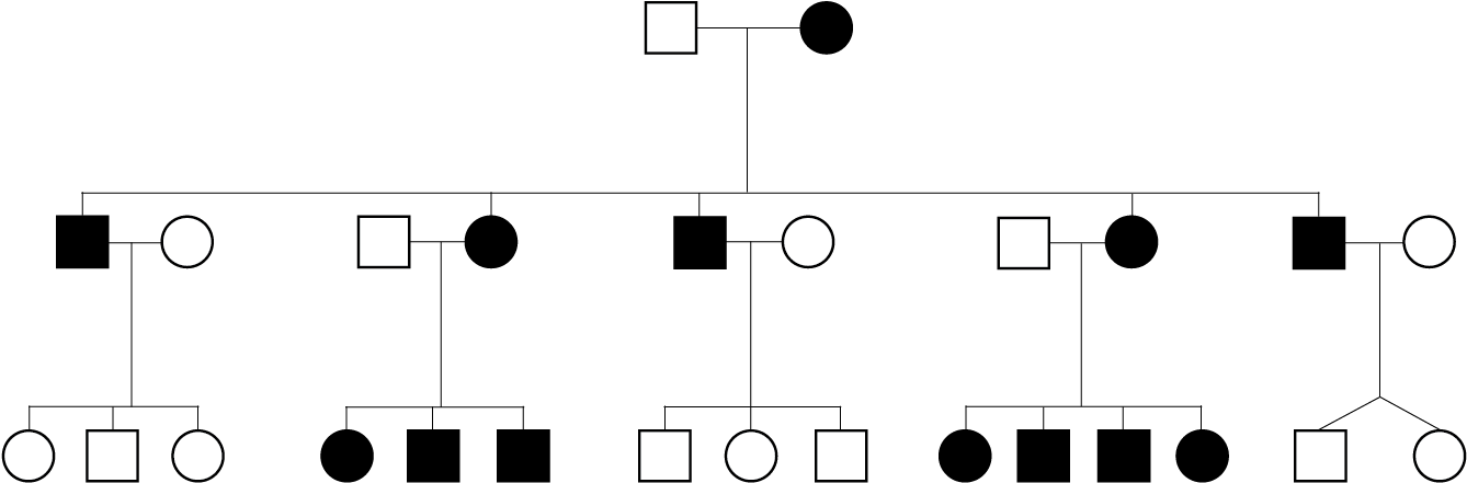 Mitochondrial Pedigree - Mitochondrial Pedigree (1387x523)