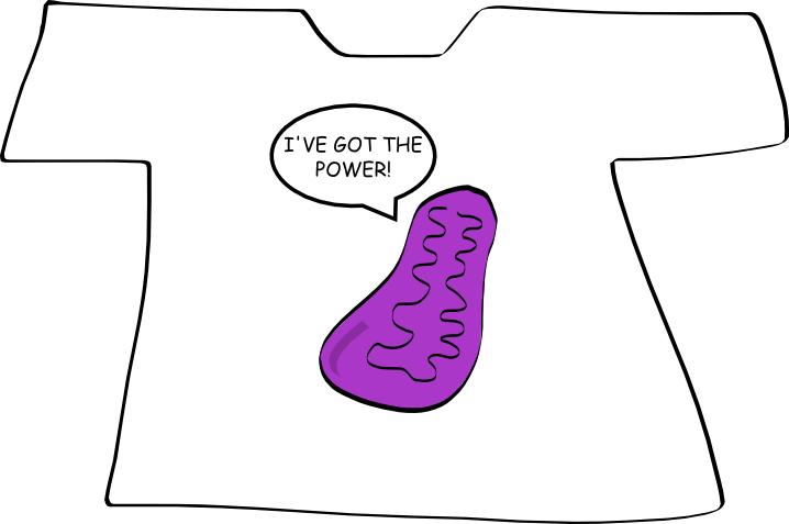 Mitochondrion Shirt - “ - Comic Strips On Cell Organelles (718x477)