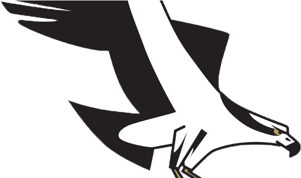 Missoula Osprey News - Missoula Osprey (640x360)