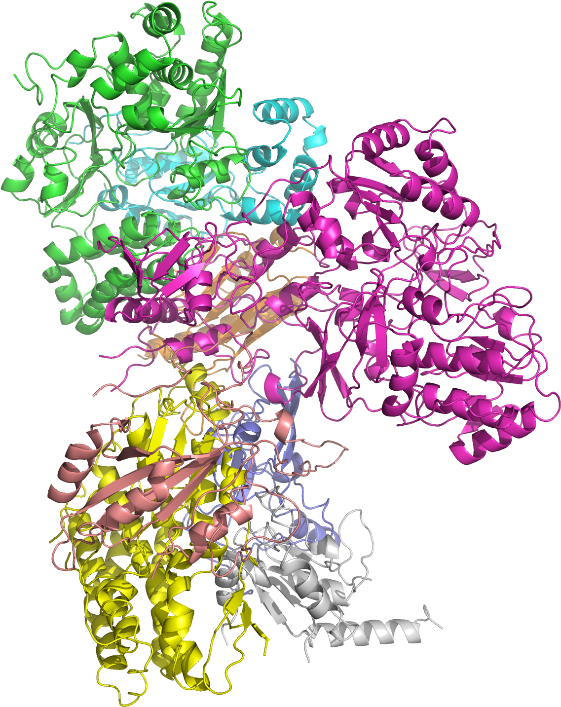 Nadh Dehydrogenase - Nadh Ubiquinone Oxidoreductase Core Subunits (1620x1620)