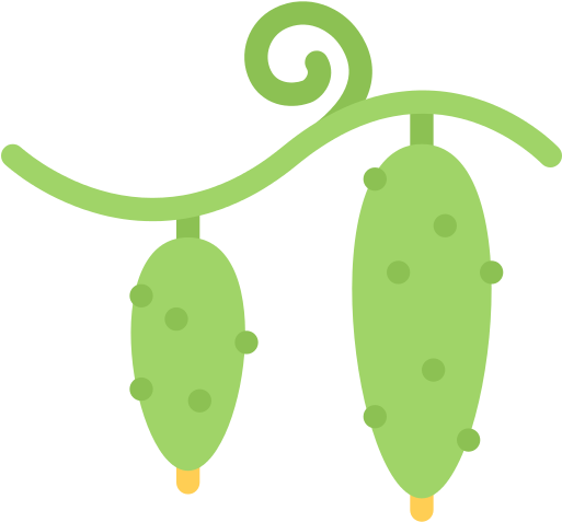 Cucumber Png File - Illustration (512x512)