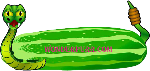 Cucumbers Contain Most Of The Vitamins Hoomons Need - Pepino Animado Png (640x320)