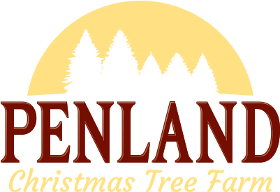 Penland Christmas Tree Farm Logo - Penland Christmas Tree Farm Logo (400x300)