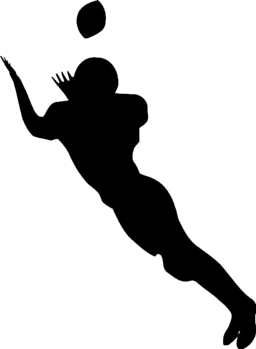 Football Player Catching - Football Catch Silhouette Png (499x679)