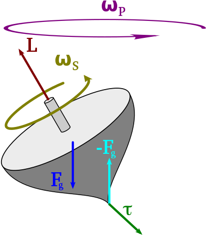 The Torque Caused By The Two Opposing Forces Fg And - Angular Momentum (440x513)
