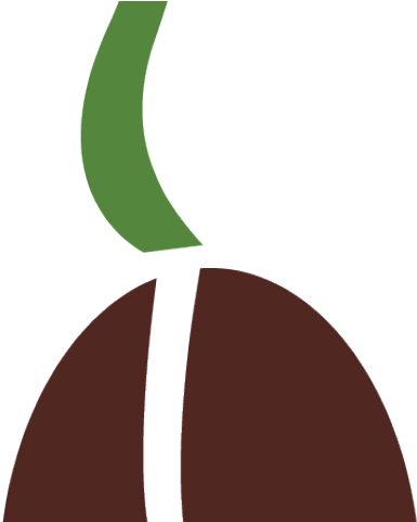 Seed Clipart Biology - Seed Clipart Biology (640x480)