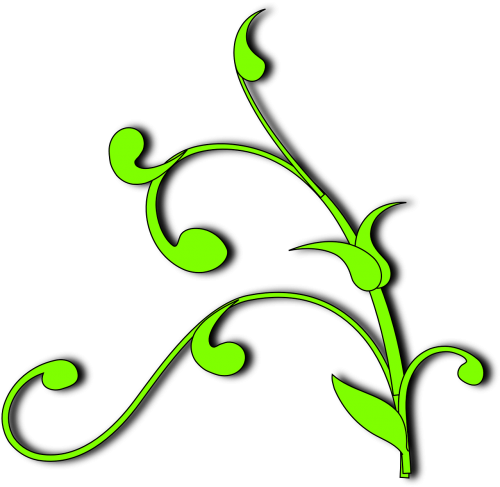 Vector Graphics - Vine Plant Clipart (500x487)