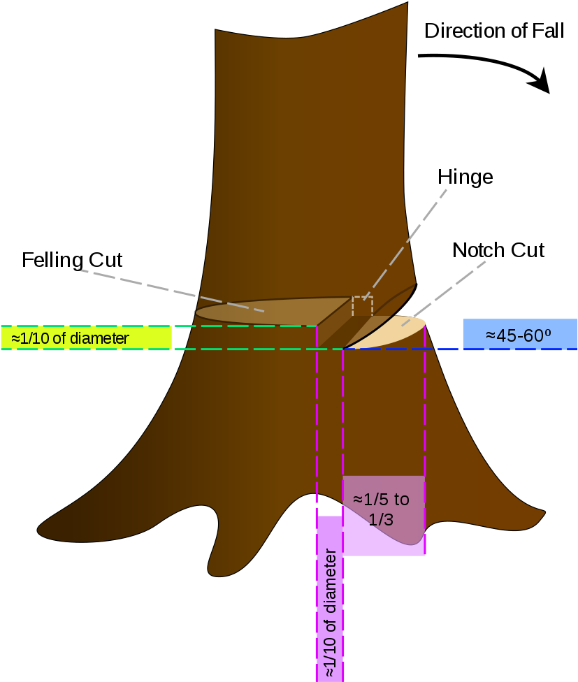 Cutting Down A Tree With A Chainsaw - Cut A Tree With A Chainsaw (873x1024)