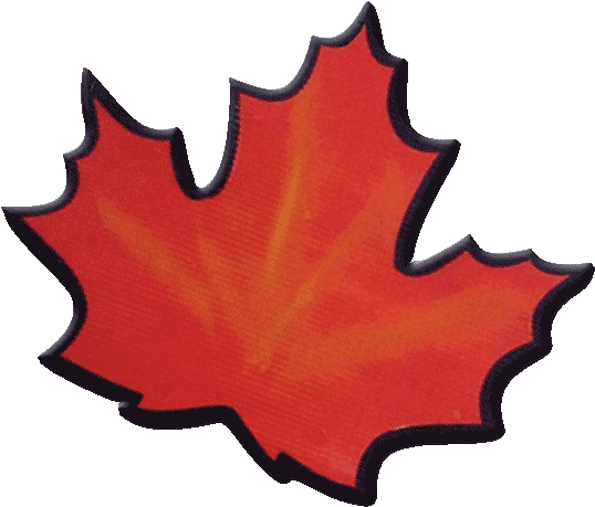 Studio Is On Summer Tour Studio Is On Autumn Tour - Maple Leaf (556x474)