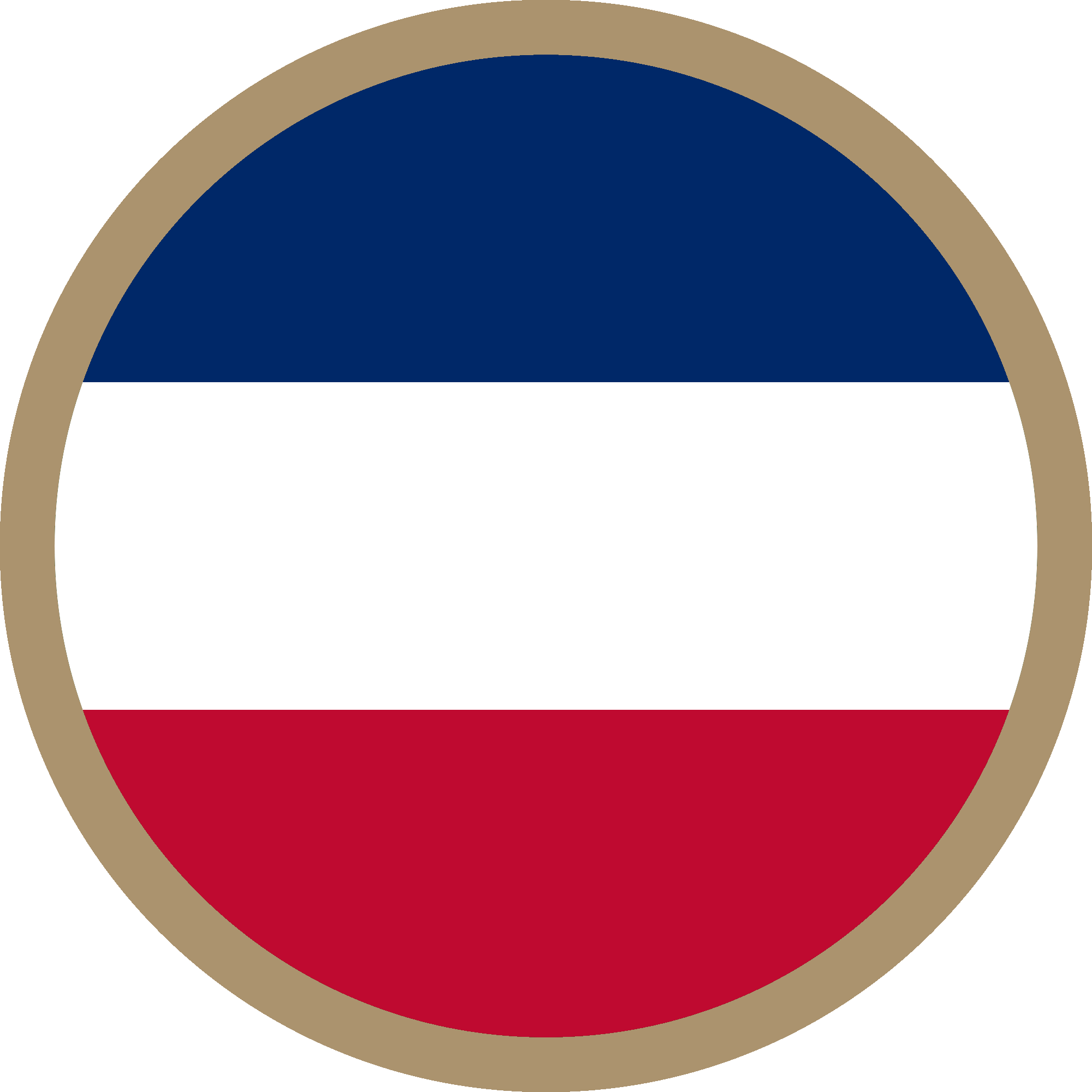 Army Ground Forces - Army Forscom (2000x2000)