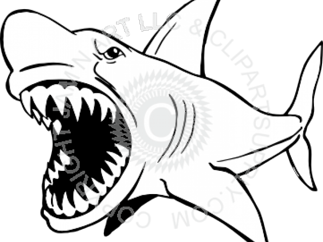 Black And White Shark Clip Art (640x480)