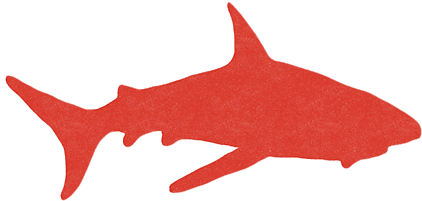 Click And Drag To Re-position The Image, If Desired - Carcharhiniformes (600x600)