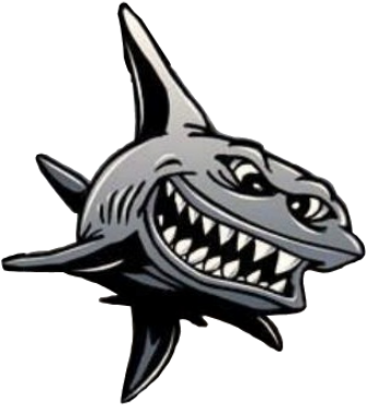 Charter Fishing In Beautiful Brunswick Ga ,,mad Shark - Mad Shark (400x403)