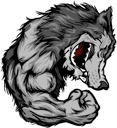 Coyote Decal For Mustang (600x600)