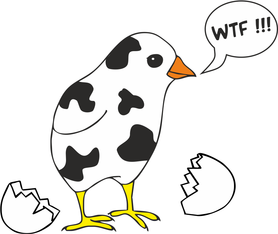 Wtf - Chicken Coloring Pages (1080x1080)