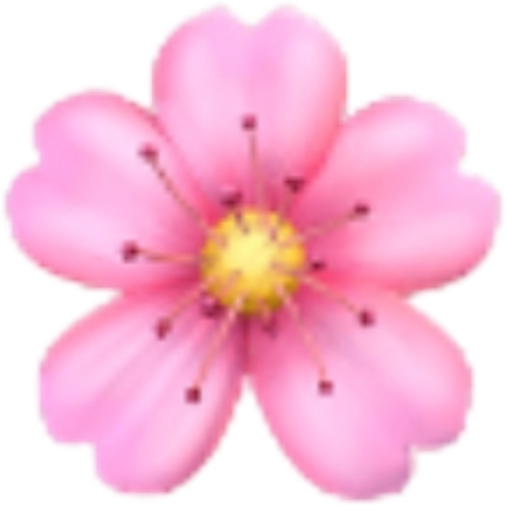 Flower Sakura Emoji Emojis Rose Sticker Ios Iphone - Cherry Blossom Emoji Png (1024x1024)