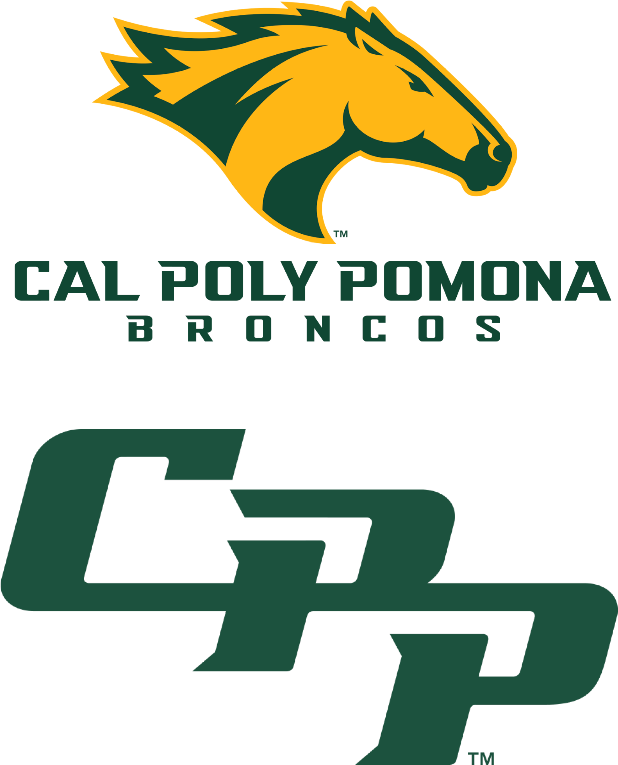 Download Hd The Brand For Athletics Cal Poly Pomona - California State Polytechnic University Pomona Mascot (1969x2436)