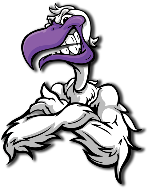 Seagull Uav - Cartoon Muscle Seagull (500x640)