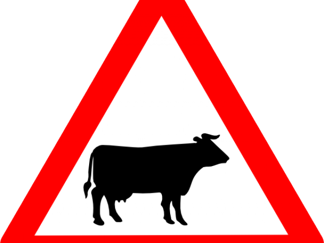 Cow Clipart Sign - Cattle Road Sign (640x480)