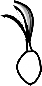 Seed Clipart Coconut Seed - Coconut Seed Clip Art Black And White (640x480)