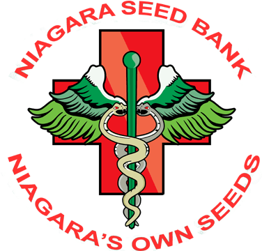 Feminized - Vietnam Veterans Against The War Buttons (400x368)