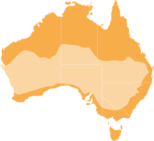 Arid - Australia Flag And Map (600x549)