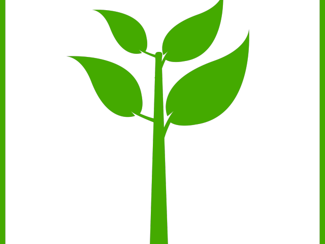 Stem Clipart Banana Stalk - Green Plant Icon Png (640x480)