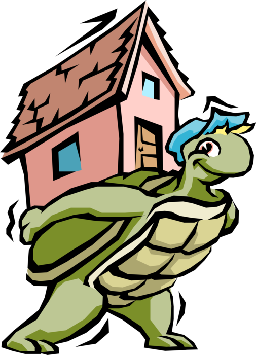 505 X 700 0 - Turtle House (505x700)