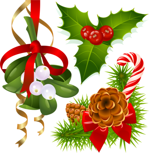 Décos De Noël - Transparent Mistletoe (489x500)