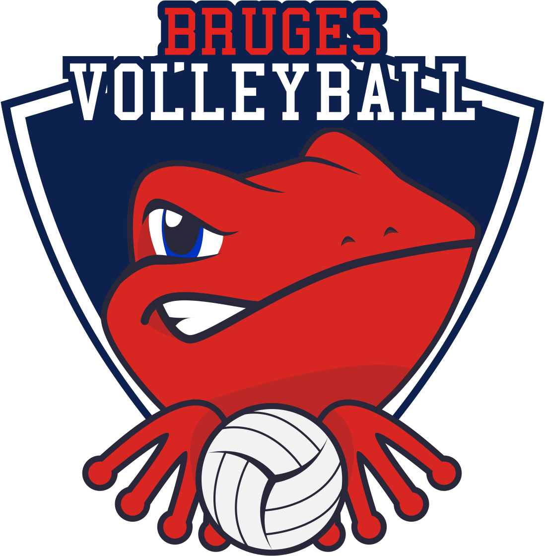Logo Equipe Volley (1098x1120)