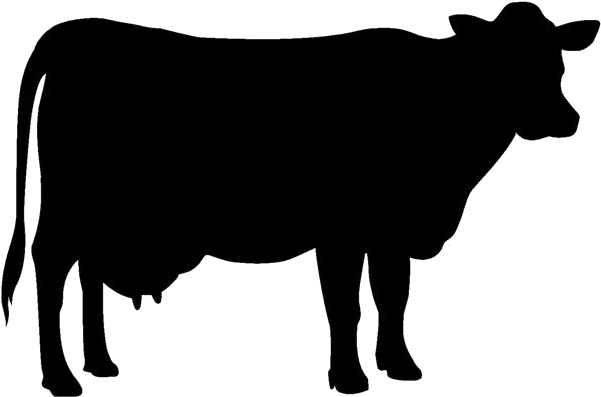 Products Clipart Dairy Industry - Silhouette Cow Clipart Black And White (640x480)
