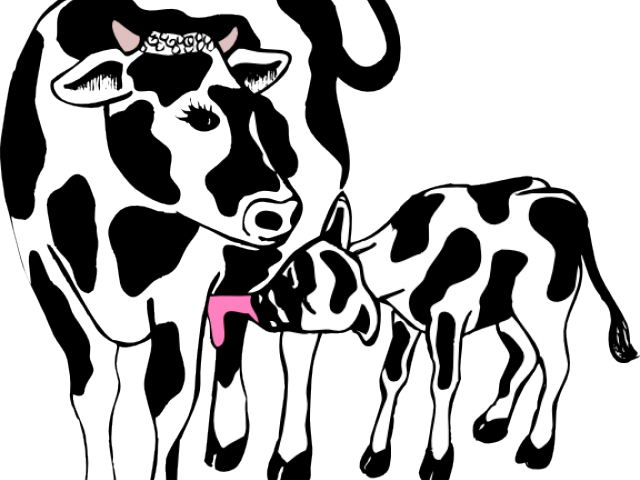 Beef Clipart Calf - Black And White Cow And Calves (640x480)
