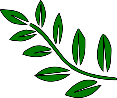 Fern, Leaves, Green, Palm, Tree - Leaves On A Branch Clip Art (403x340)