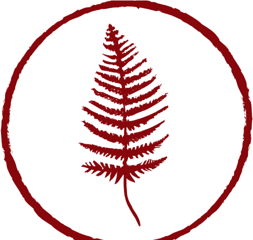 Fern Clipart Red Fern - Illustration (640x480)