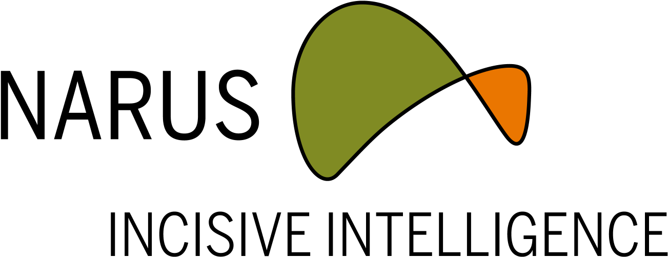 Making Sense Of Big Data At Narus - Narus (1500x600)