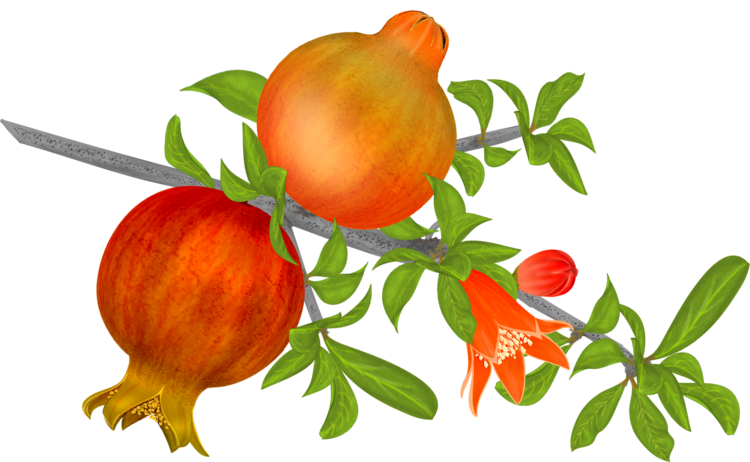 Pomegranates - Fruit (750x462)