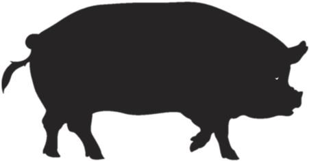 Pig Silhouette Cartoon (599x449)