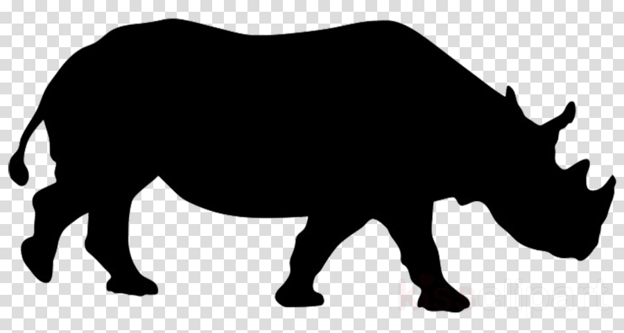 Right Turn Arrow Png (900x480)