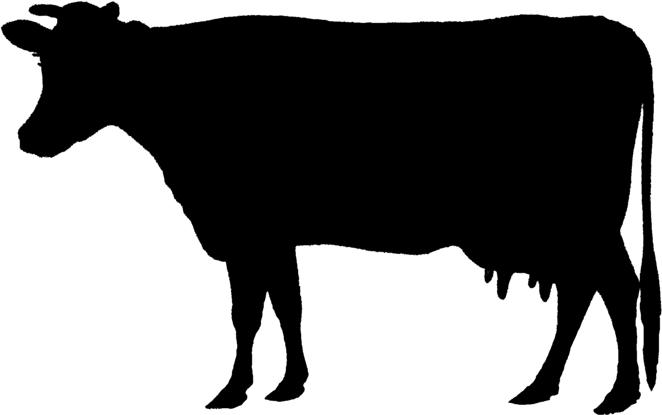 Pin By Rulochampak On Good Beef - Farm Clipart Black And White Silhouettes Cow (1600x1028)