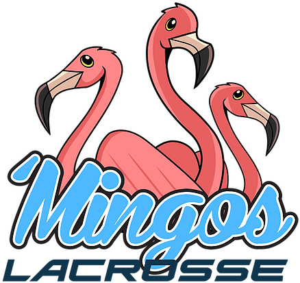 Mingo2 - Greater Flamingo (535x485)