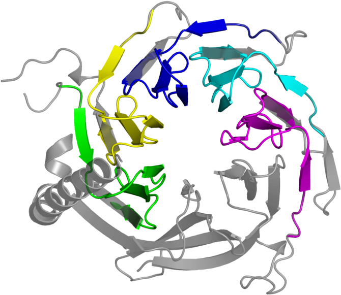 <div Class='caption-body'>5 Copies Of Pfam Domain < - Illustration (800x800)