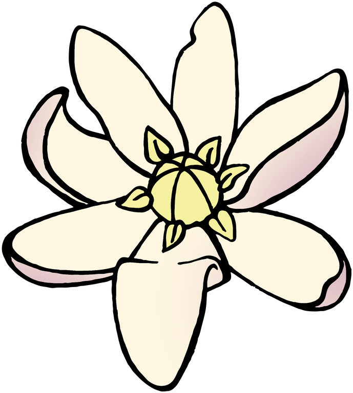 "which Is To Say - Cartoon (800x800)